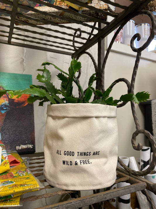 All Good Things Are Wild & Free Plant